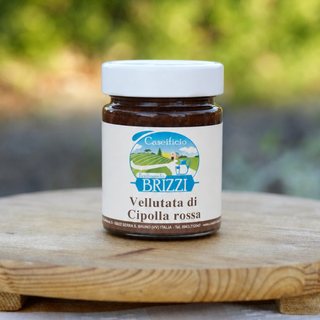 Vellutata di cipolla